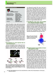 National Institute for Basic Biology  Neurobiology DIVISION OF BRAIN CIRCUITS