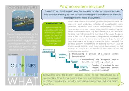 COSTS & BENEFITS  Why ecosystem services? The MSFD requires integration of the value of marine ecosystem services into decision-making, so that policies are designed to achieve sustainable management of these ecosystems.