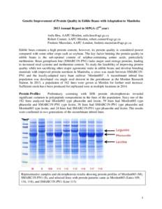 Nutrition / Nitrogen metabolism / Vegan cuisine / Vegetarian cuisine / Proteins / Phaseolin / Phaseolus vulgaris / Essential amino acid / Methionine / Food and drink / Biology / Chemistry