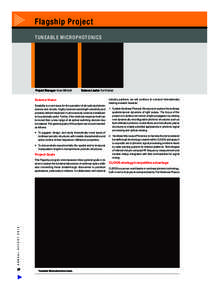 F l a g s h i p P r o j ect TUNEABLE MICROPHOTONICS Project Manager: Arnan Mitchell  Science Leader: Yuri Kivshar