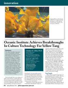 innovation  Ongoing efforts at the Oceanic Institute are striving to develop alternatives to wild collection of yellow tang, a popular coral