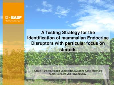 A Testing Strategy for the Identification of mammalian Endocrine Disruptors with particular focus on steroids  Tzutzuy Ramirez, Robert Landsiedel, Susanne Kolle, Hennicke