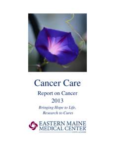    Cancer Care Report on Cancer  2013