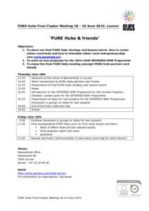 Microsoft Word - PURE Hubs final CM June