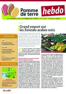 hebdo  Pomme de terre  LE JOURNAL DE LA POMME DE TERRE- n° février 2016