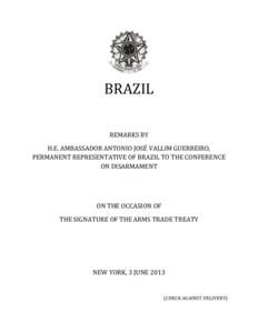 BRAZIL REMARKS BY H.E. AMBASSADOR ANTONIO JOSÉ VALLIM GUERREIRO, PERMANENT REPRESENTATIVE OF BRAZIL TO THE CONFERENCE ON DISARMAMENT