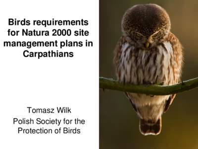 Birds requirements for Natura 2000 site management plans in Carpathians  Tomasz Wilk