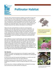 Pollinator Habitat Each year native and domesticated bees pollinate around 30% of crops in the United States with a value of approximately $23 billion. They also pollinate around[removed]percent of flowering plants in the 