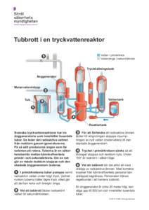 Tubbrott i en tryckvattenreaktor Vatten i primärkrets Vatten/ånga i sekundärkrets 5