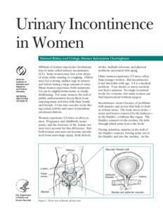 Urinary system / Stress incontinence / Urinary incontinence / Urology / Urodynamic testing / Bladder spasm / Urge incontinence / Overflow incontinence / Urination / Medicine / Anatomy / Incontinence