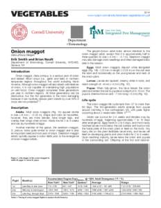 VEGETABLES[removed]www.nysipm.cornell.edu/factsheets/vegetables/om.pdf  Department