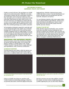 Water pollution / Hydrology / Aquatic ecology / Environmental soil science / Wetland / Stormwater / Surface runoff / Everglades / Riparian zone / Environment / Water / Earth