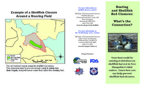 What constitutes a mooring field