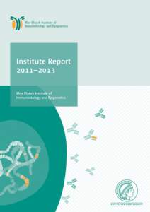 Institute Report 2011–2013 Max Planck Institute of Immunobiology and Epigenetics  2