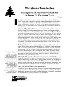 Christmas Tree Notes Management of Phytophthora Root Rot in Fraser Fir Christmas Trees CTN-022 Introduction. Phytophthora root rot is the only serious disease of Fraser fir Christmas trees in western North Carolina. It i