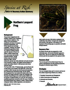 Species at Risk[removed]Recovery Action Summary Northern Leopard Frog Background