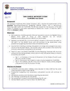 County of Los Angeles Department of Public Social Services SEMI-ANNUAL REPORTING SYSTEM CalWORKs Fact Sheet