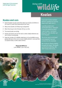 Living with wildlife - Koalas and cars