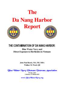 Microsoft Word - Da Nang Cover2.doc