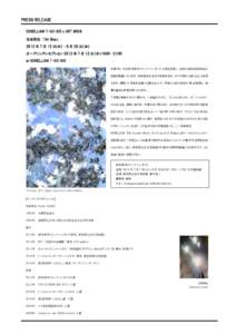 PRESS RELEASE IOSSELLIANI T-02-IOS x ART #008 吉田和生 「Air Blue」 2012 年 7 月 12 日(木)  －8