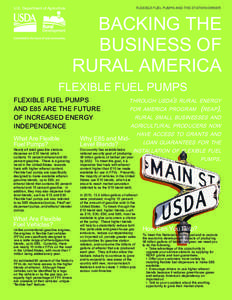 U.S. Department of Agriculture  FLEXIBLE FUEL PUMPS AND THE STATION OWNER BACKING THE BUSINESS OF