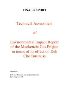 Microsoft Word - DCBDC Report - Final _2_.doc