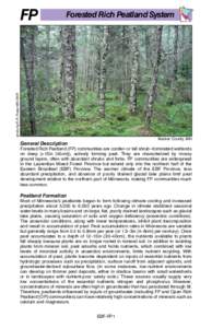 Field Guide to the Native Plant Communities of Minnesota, The Eastern Broadleaf Forest Province, Ecological System Summaries