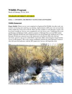 WDFW Wildlife Program Weekly Report February 10-16, 2014