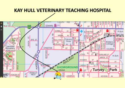 KAY HULL VETERINARY TEACHING HOSPITAL   