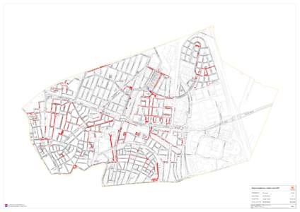 Vergroeningskansen, situatie maartVoetpaden, tegels en klinkers (breder dan 4m) Verkeersgeleider (breder dan 1m en groter dan 5m²)