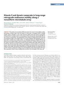 MBoC  |  ARTICLE  Kinesin-3 and dynein cooperate in long-range retrograde endosome motility along a nonuniform microtubule array Martin Schustera, Sreedhar Kilarua, Gero Finkb, Jérôme Collemarec,*, Yvonne Rogera,