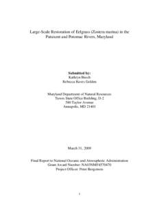 Large-Scale Restoration of Eelgrass (Zostera marina) in the Patuxent and Potomac Rivers, Maryland