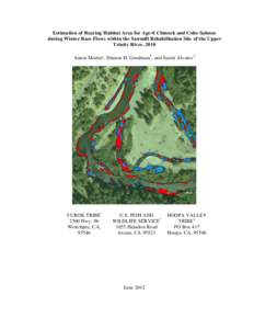 Estimation of Rearing Habitat Area for Age-0 Chinook and Coho Salmon during Winter Base Flows within the Sawmill Rehabilitation Site of the Upper Trinity River, 2010 Aaron Martin¹, Damon H. Goodman 2, and Justin Alvarez