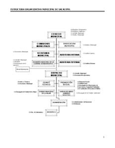 ESTRUCTURA ORGANIZATIVA MUNICIPAL DE SACACOYO[removed]Regidores Propietarios (4) Regidores Suplentes (1) Alcalde Municipal (1) Sindico Municipal