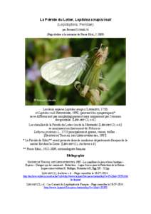 La Piéride du Lotier, Leptidea sinapis/reali (Lepidoptera, Pieridae) par Bernard SCHMELTZ (Page dédiée à la mémoire de Pierre RÉAL, † 2009)  © Bernard Schmeltz