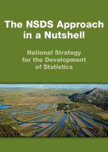 The NSDS Approach in a Nutshell National Strategy for the Development of Statistics