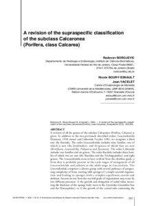 A revision of the supraspecific classification of the subclass Calcaronea (Porifera, class Calcarea)