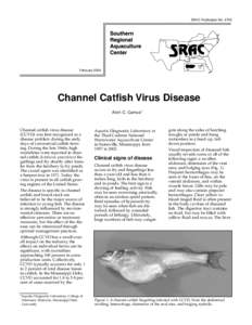 Health / Channel catfish virus / Fish farming / Edwardsiella ictaluri / Influenza / Columnaris / Aquaculture / Fish diseases / Fish / Medicine