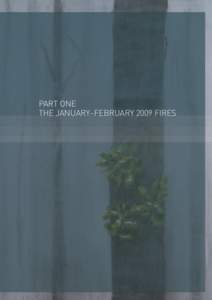 PART ONE THE JANUARY–FEBRUARY 2009 FIRES Volume I: The Fires and the Fire-Related Deaths  THE JANUARY–FEBRUARY 2009 FIRES