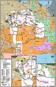 Beltrami Island State Forest