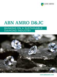 ABN AMRO D&JC Banking on a sustainable diamond industry www.abnamro.com