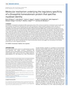 1164 RESEARCH ARTICLE  Development 139, doi:dev © 2012. Published by The Company of Biologists Ltd  Molecular mechanism underlying the regulatory specificity
