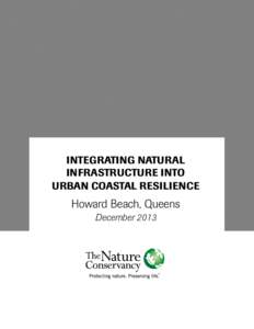 Integrating natural infrastructure into urban coastal resilience Howard Beach, Queens December 2013