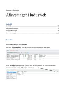 Microsoft Word - Afleveringer i ludusweb - kursister