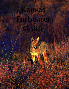 Kansas Furbearer Guide text by Matt Peek furbearer biologist, Emporia