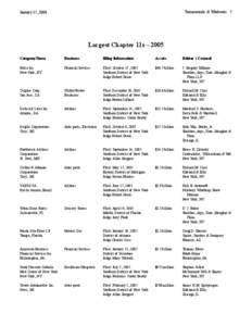 Turnarounds & Workouts 5  January 15, 2006 Largest Chapter 11s – 2005 Company Name