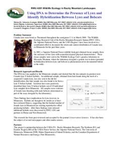 RWU 4201 Wildlife Ecology in Rocky Mountain Landscapes  Using DNA to Determine the Presence of Lynx and Identify Hybridization Between Lynx and Bobcats Michael K. Schwartz, Ecologist, RMRS, Box 8089 Missoula, MT[removed]