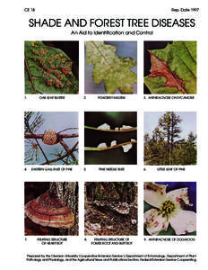CE 18  Rep. Date 1997 SHADE AND FOREST TREE DISEASES An Aid to Identification and Control