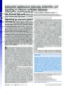 Salmonella typhimurium intercepts Escherichia coli signaling to enhance antibiotic tolerance Nicole M. Vegaa,b,c, Kyle R. Allisona,b,c, Amanda N. Samuelsa,b,c, Mark S. Klempnerd, and James J. Collinsa,b,c,e,f,1 a  Howard