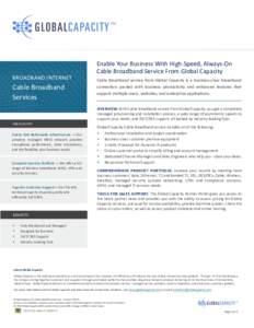 Broadband / Global Capacity / Internet access / OTE / TE Data / Mada Communication